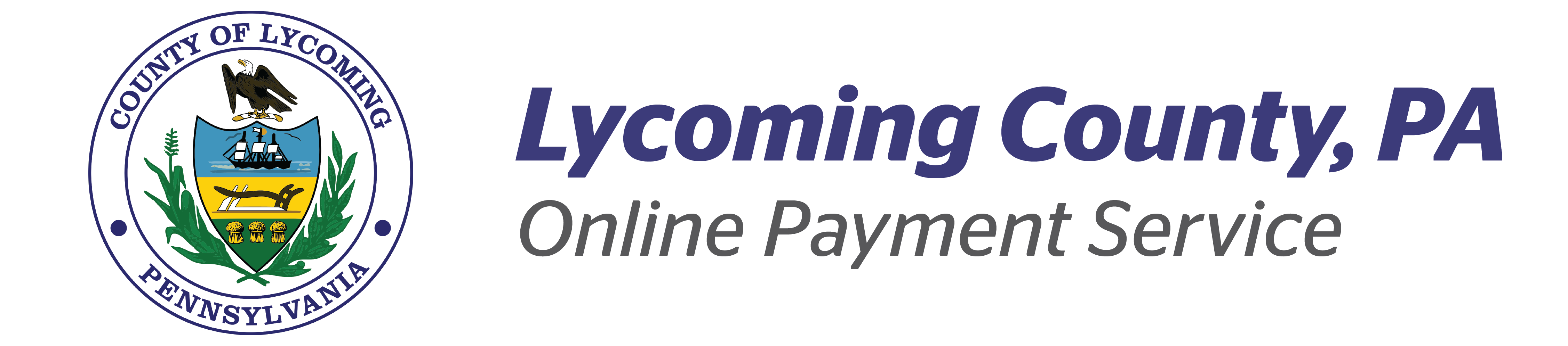 Online Payment Service By VPS